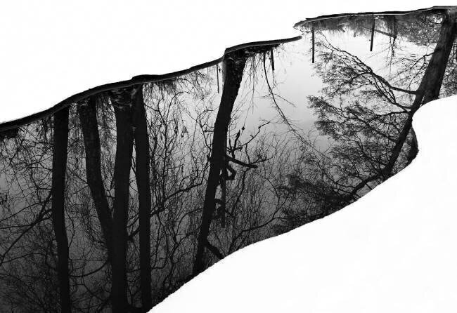 Riverside Leif Westling
