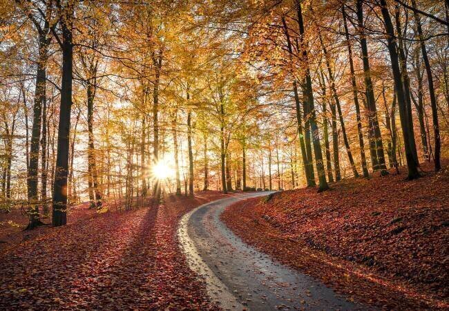 Road in SApderAysen nationalpark, Sweden Christian Lindsten