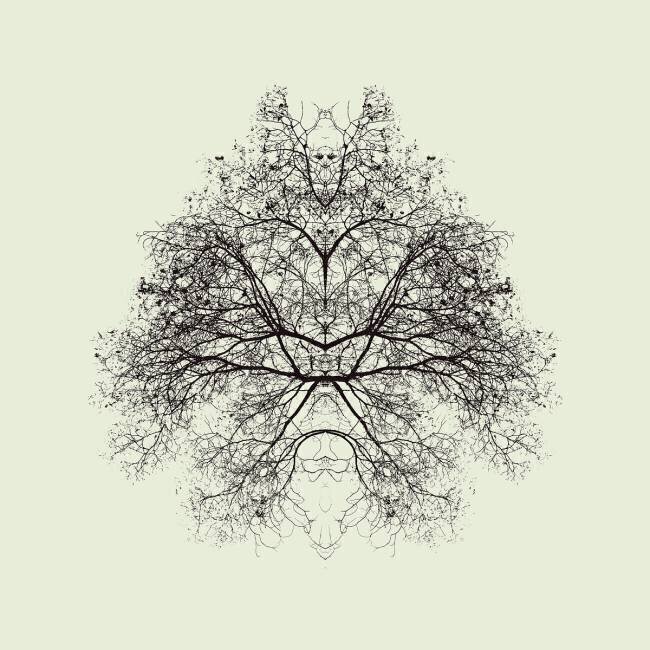 Rorschach Test Nadav Jonas