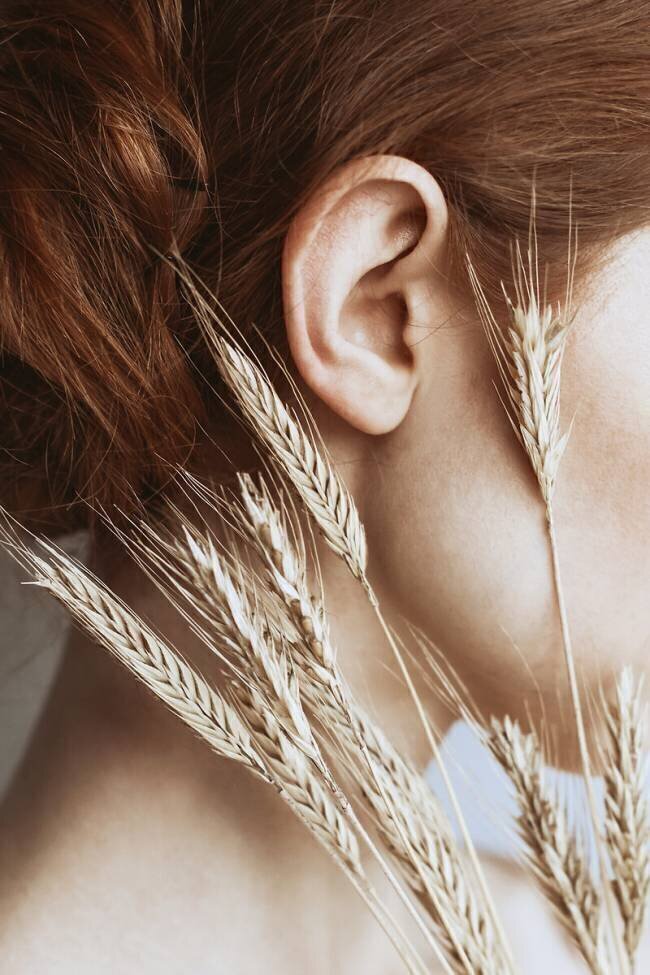 Rye Dorota Gorecka