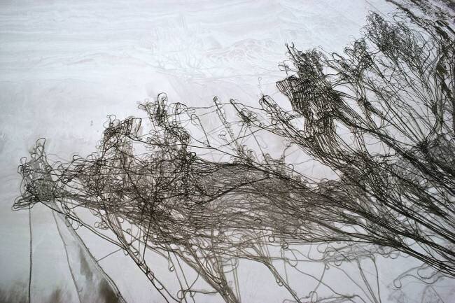 Salt Harvest, Iran Georg Gerster