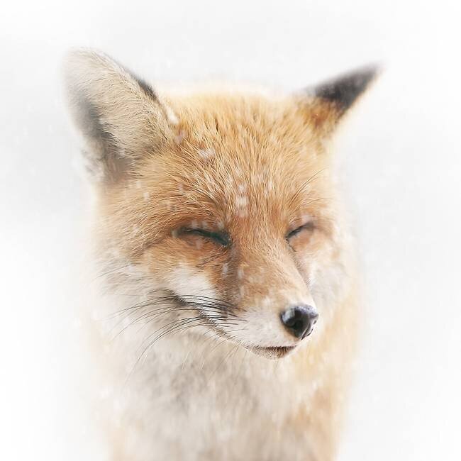 Satisfied Doris Reindl