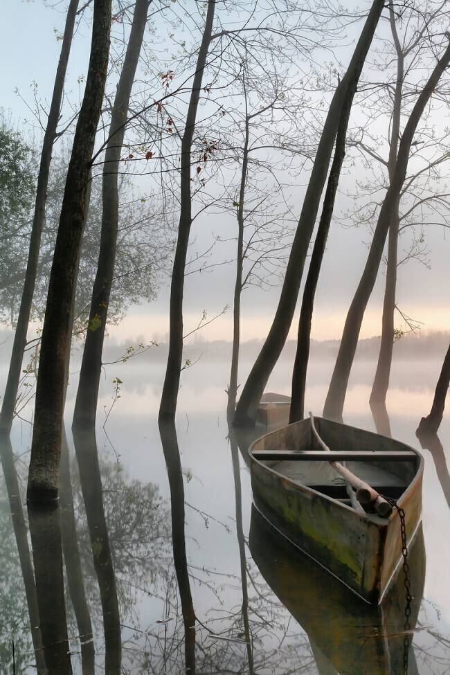 Serene Dawn Rui David