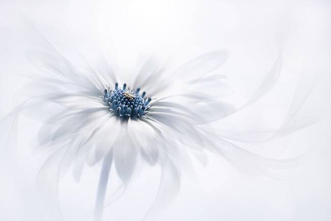 Serenity Jacky Parker