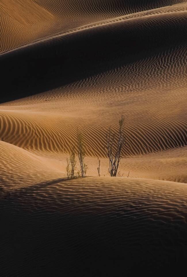 Shadow And Light Abolfazl Arab