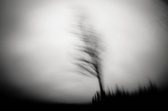 Shadow dancer Dorit Fuhg