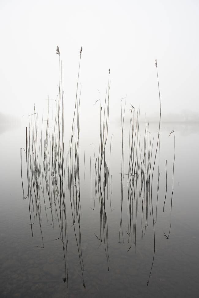 Silence David Ahern