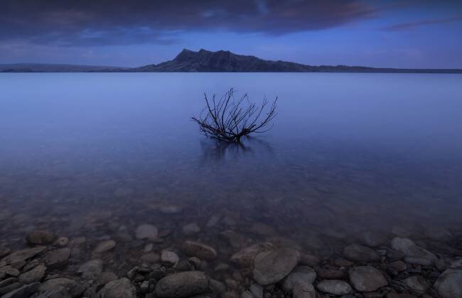 Silence Farshad Sorkhi