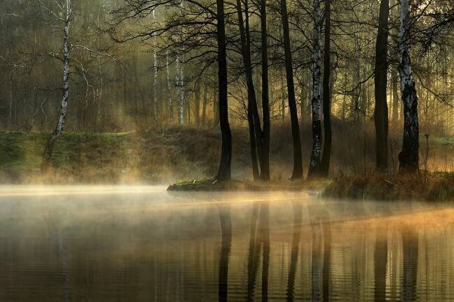 Silent light Agnieszka Jankowska