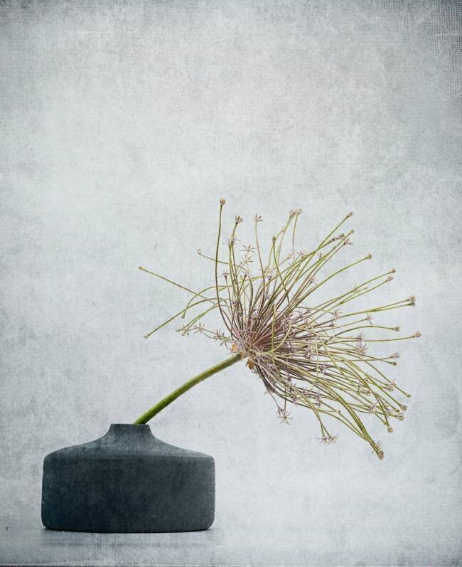 Simple comme bonjour Saskia Dingemans