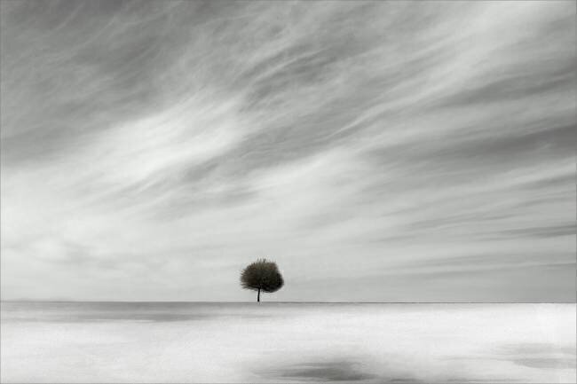 Single Gilbert Claes 
