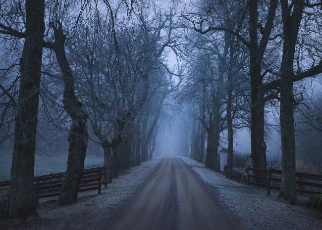 Sleepy hollow Christian Lindsten