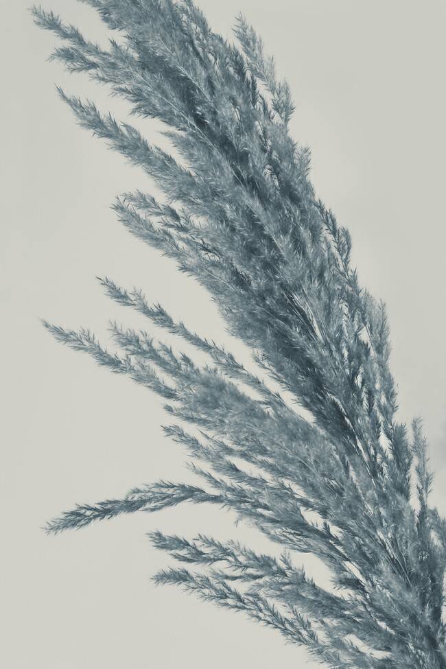 Soft Heidi Westum