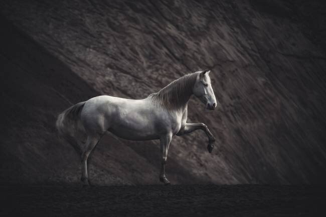 Solitaire Heike Willers