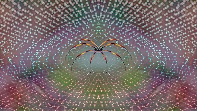 Spider TThomopoulos