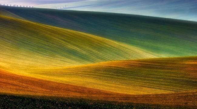 Spring fields Piotr Krol (Bax)