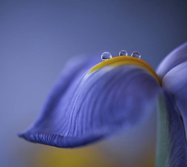 Spring is just around the corner Judy Tseng