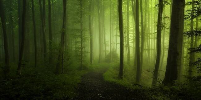 Spring Promise Norbert Maier