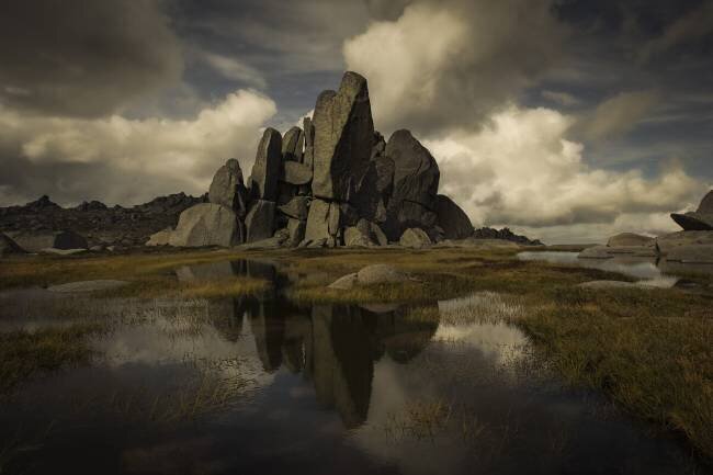 Standing Alone Yan Zhang