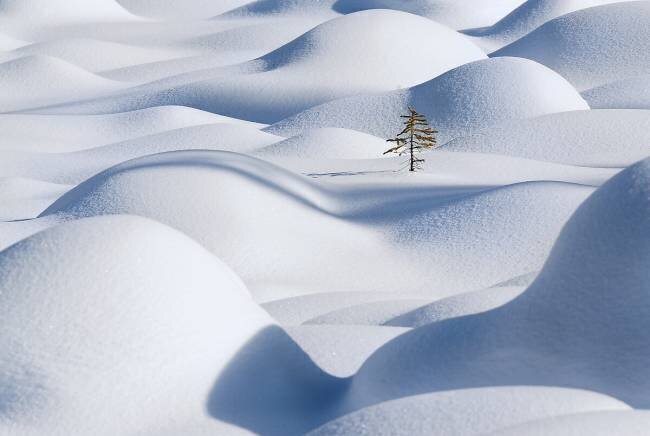 Standing in the Waves Victor Liu
