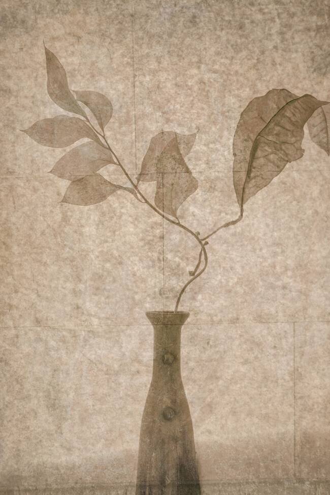 Still Life Igor Tokarev