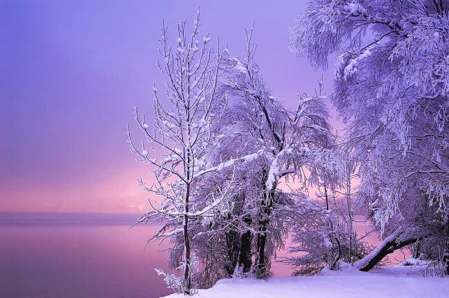 Stillness Norbert Maier