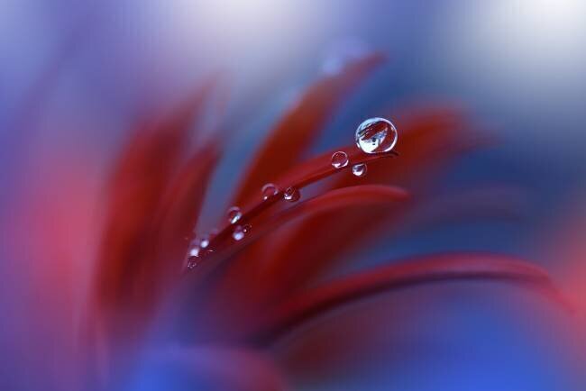 Strange Feelings... Juliana Nan
