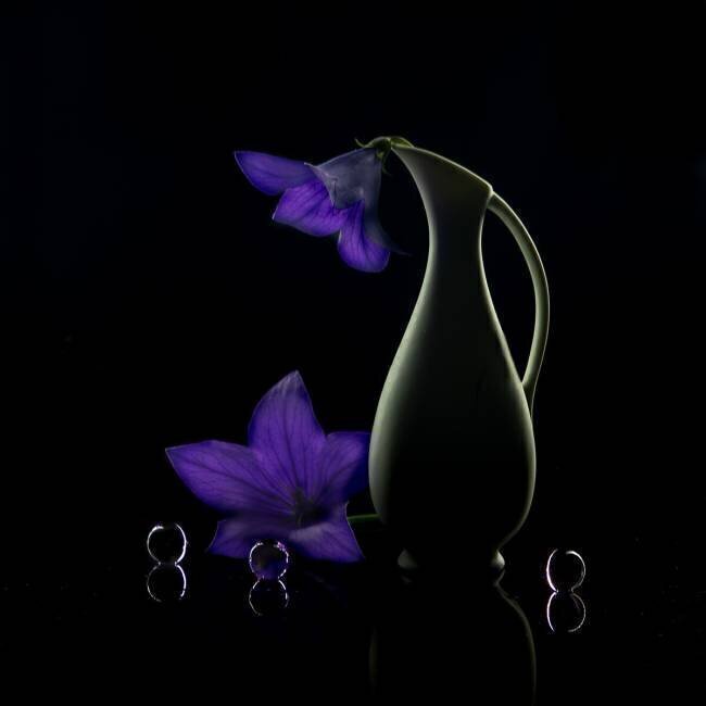 Summer night Wendy Xu
