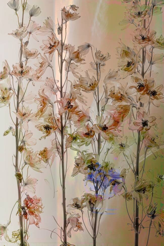 Summer pastel Saskia Dingemans