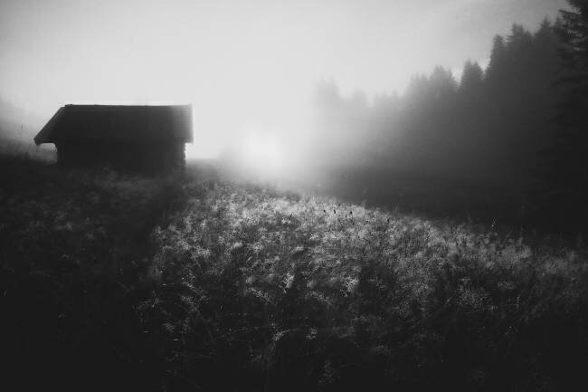 Sun licks dew Roswitha Schleicher-Schwarz