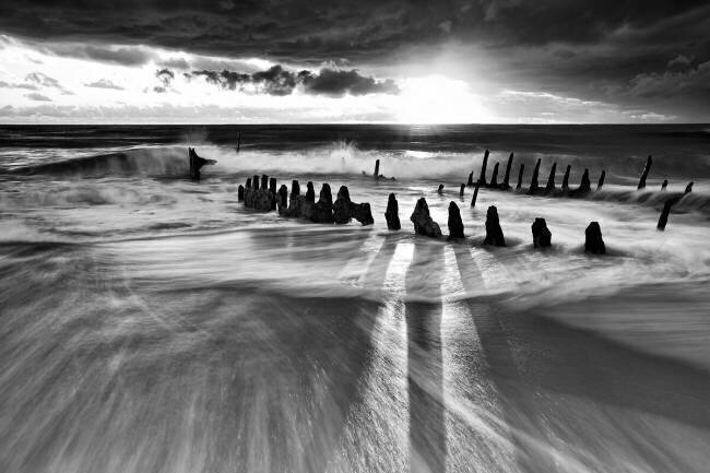 Sunlight Mel Brackstone