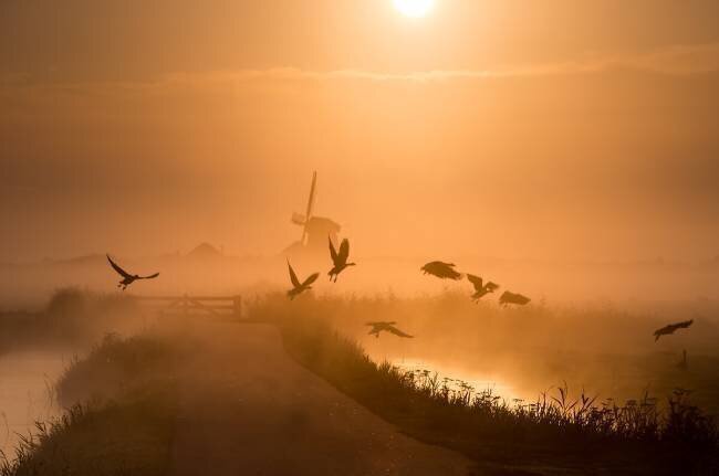 Sunrise Flight Harm Klaverdijk