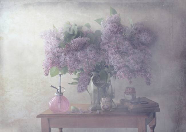 Sweet Lilacs Delphine Devos