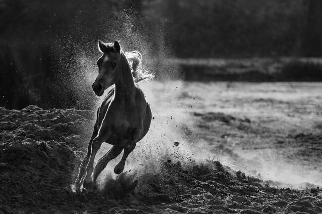 Take off Mohammed Alnaser