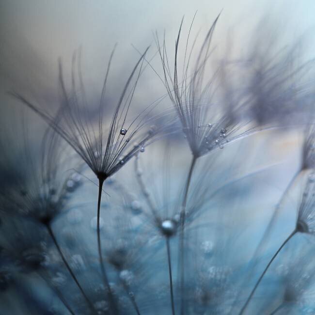 Teardrops Mathieu Irthum