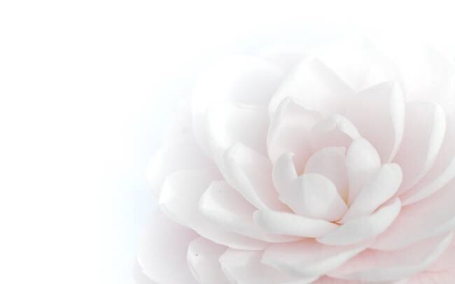 Tender Beauty Peter Baer