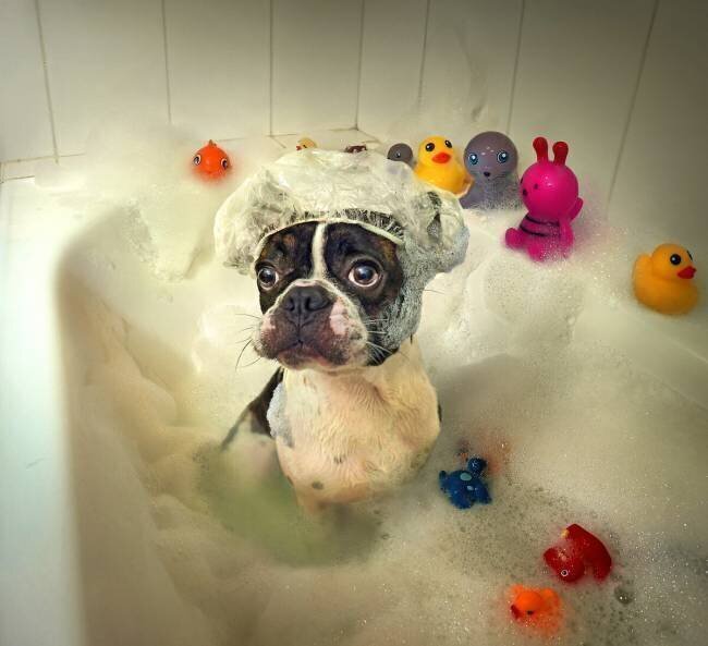 The Bath DDiArte