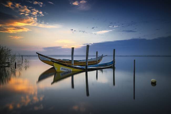 The boats Rui Ribeiro