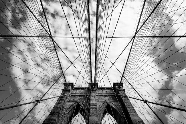 The bridge Susumu Nihashi