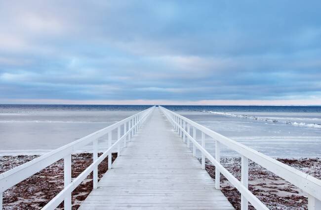 The bridge Jacek Oleksinski