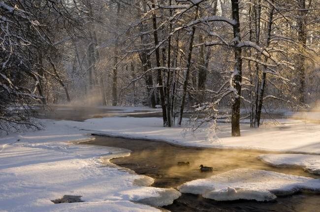 The first light Robin Eriksson