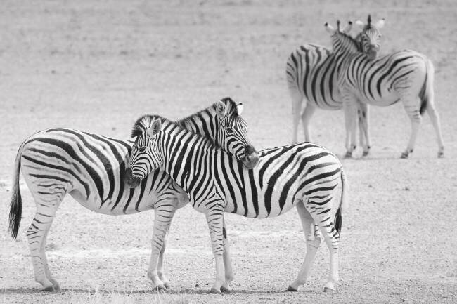 The hug Hannes Bertsch