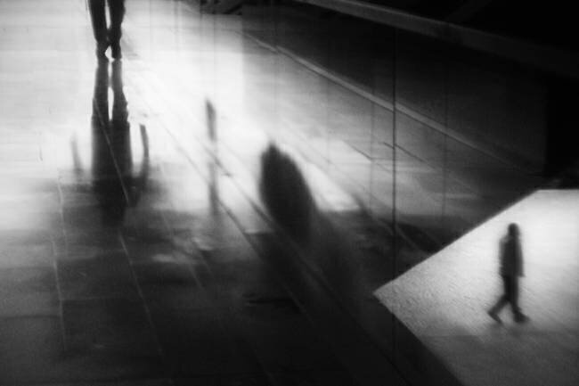 The Human Trap Aurora