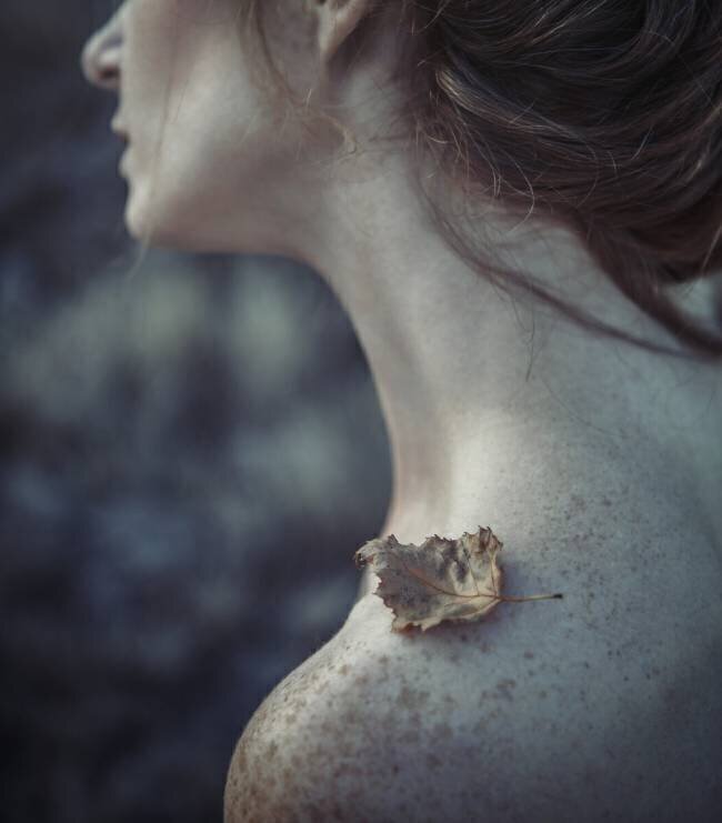 The leaf Magdalena Russocka