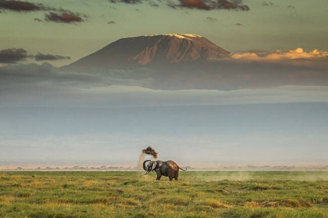 The magic of Amboseli Jeffrey C. Sink