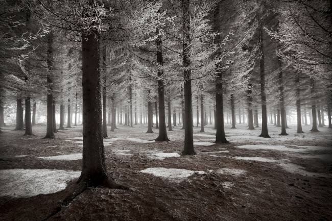 The onset of winter Dragisa Petrovic