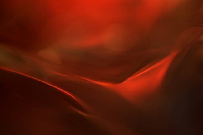 The red valley Heidi Westum