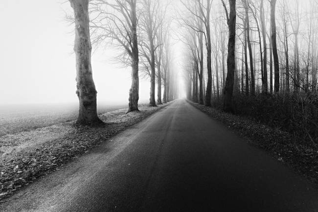 The road to nowhere Michael