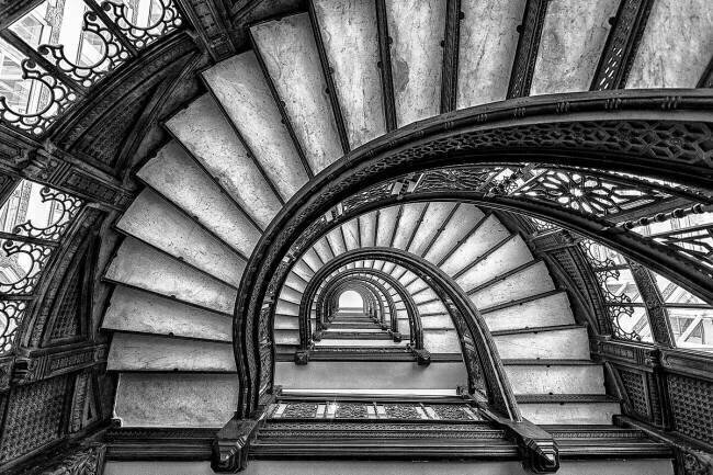 The Rookery Yimei Sun