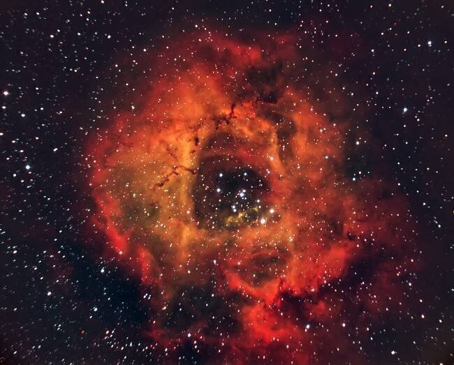 The Rose in the sky Andrea Auf dem